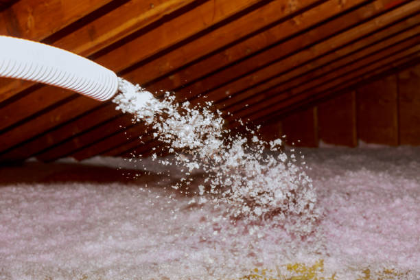 Best Insulation Maintenance and Repair in La Villa, TX