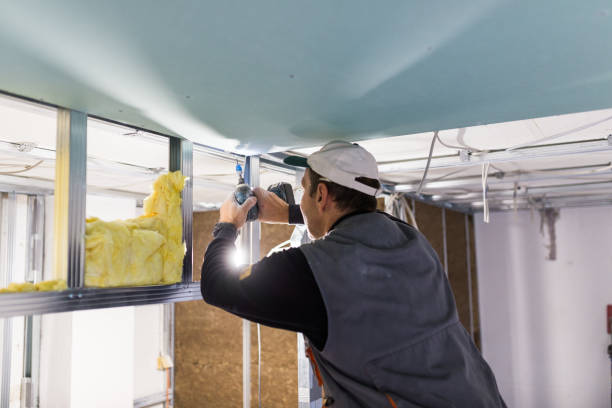 Best Specialized Insulation Services in La Villa, TX