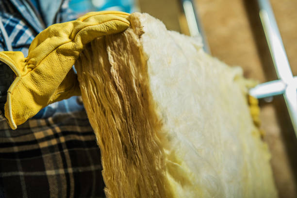 Types of Insulation We Offer in La Villa, TX