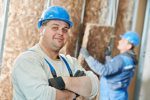 Best Residential Insulation in La Villa, TX