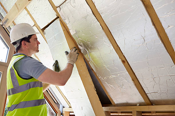 Best Commercial Insulation in La Villa, TX