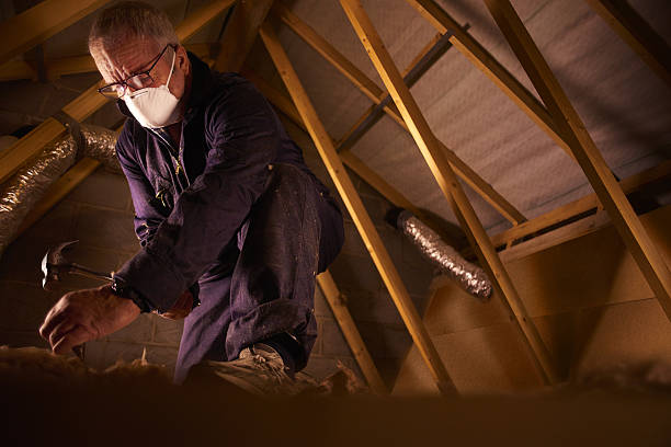 Best Spray Foam Insulation in La Villa, TX