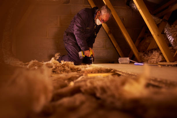 Best Geographic-Specific Insulation Services in La Villa, TX